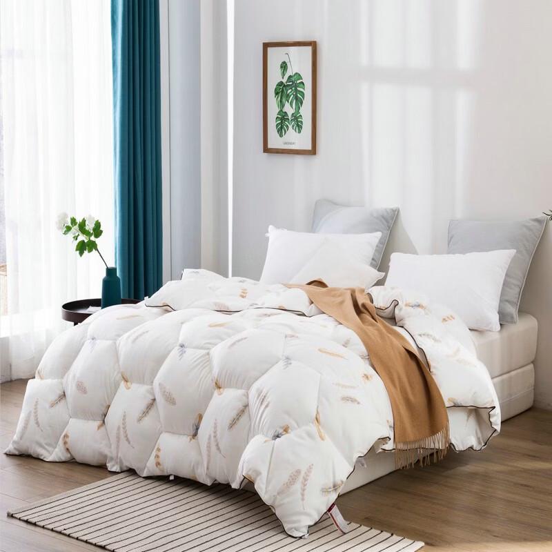Dohia Ailaita Fluffy Winter Quilt