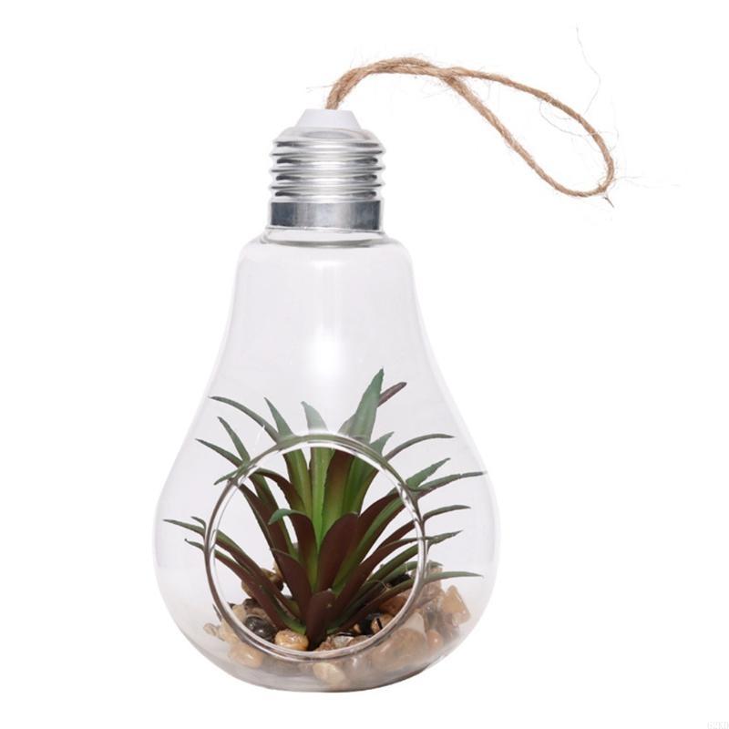 62KD Light Bulb Shaped Perfect Glass Vase Container For Succulent Easy Use Gift