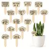 Wooden Plant Labels for Pots – Garden Marker Stakes for Succulents, Herbs & Houseplants