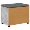 Hall Bench with Cushion Shelf and Door Concrete Grey 60 x 38 x 46 cm