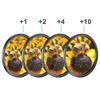 Close Up Macro Filter Kit with Carry Bag +1 +2 +4 +10 Close-UP 49 52 55 58 62 67 72 77mm for Canon Nikon Sony Camera 6