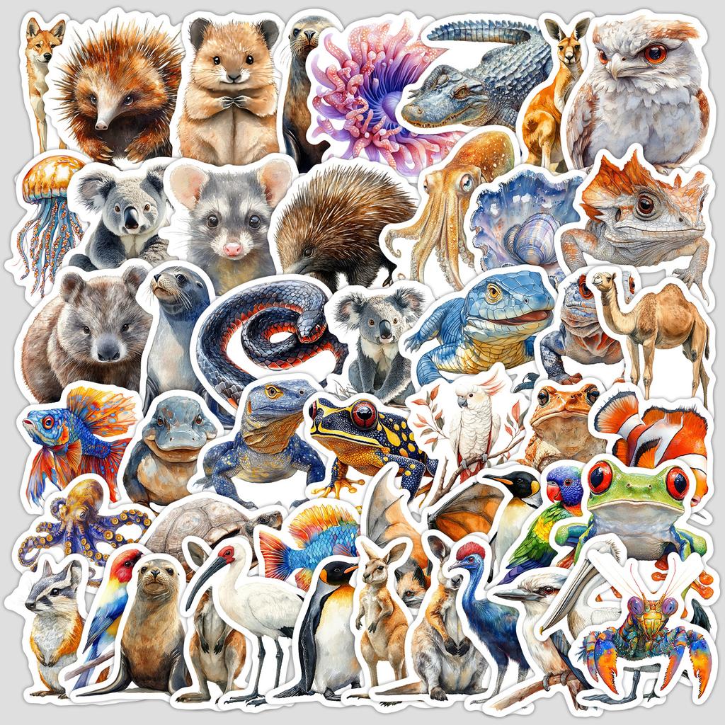 50 Australian Animal Graffiti Stickers Water Cup Computer Suitcase Notebook Waterproof Decorative Stickers