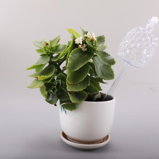 Self Watering Bulbs Pineapple Design Plant Watering Globes Planter Insert Automatic Watering Device for Indoor Outdoor Potted Plants