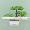 Baker Plumosus Apargus Plastic Faux Bonsai For Indoor Tabletop Decoration