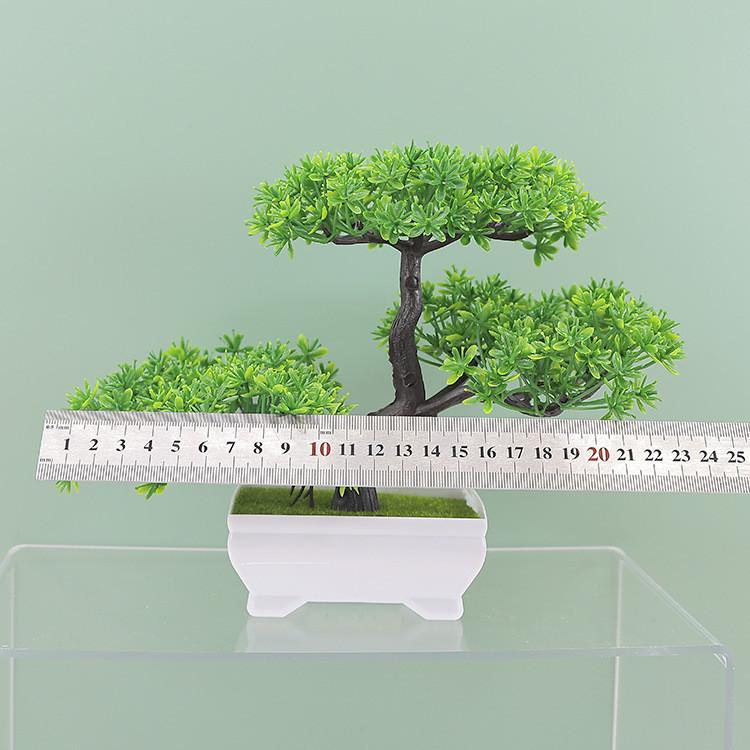 Plumosus Apargus Baker Plastic Faux Bonsai For Indoor Decoration Tabletop