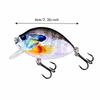 5PCS with 3D Eyes Swimbait Lures 6cm 14.7g Fishing Crankbait  Freshwater Fishing