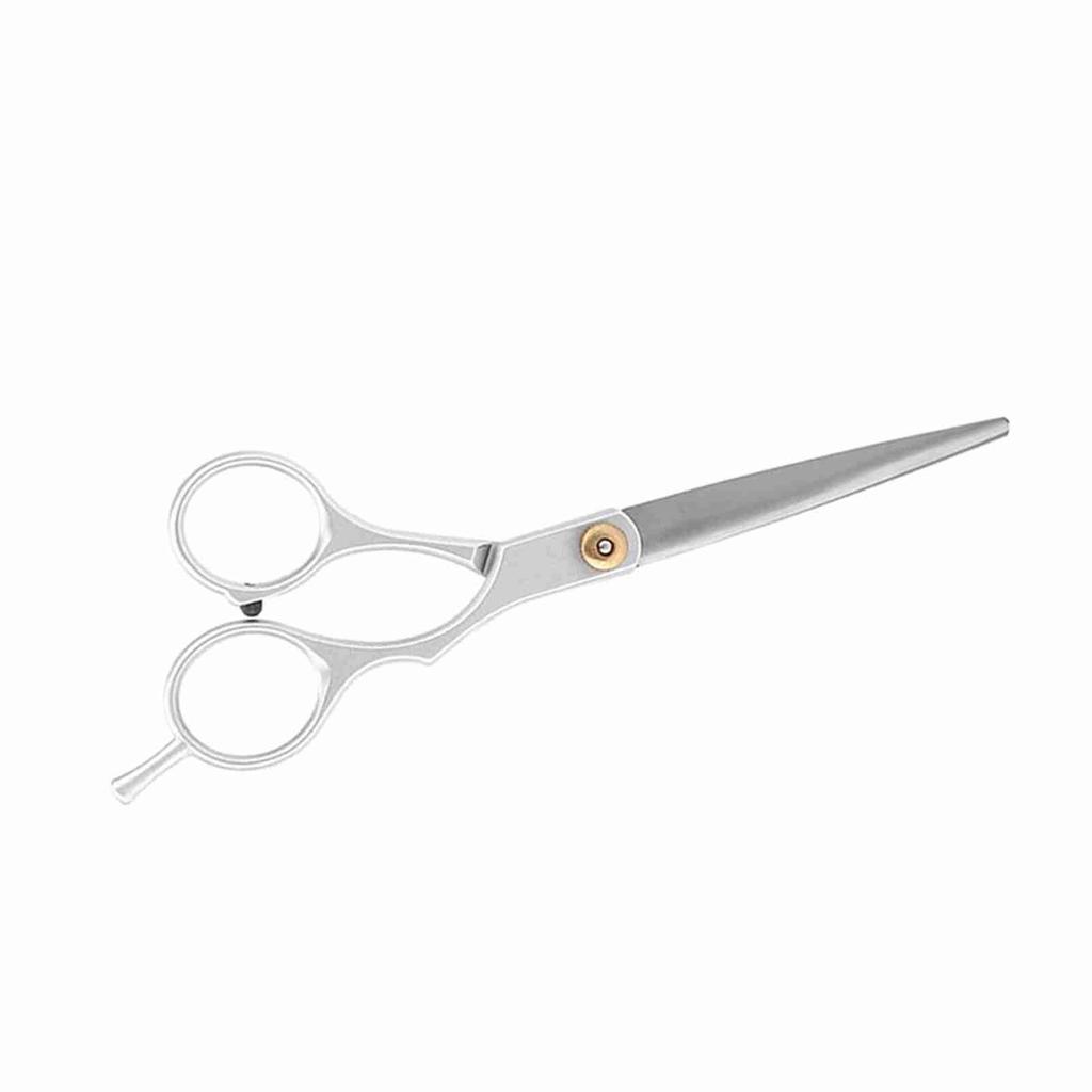 Professionelle Haarschneide Ausdünnschere Salon Friseur Friseurschere