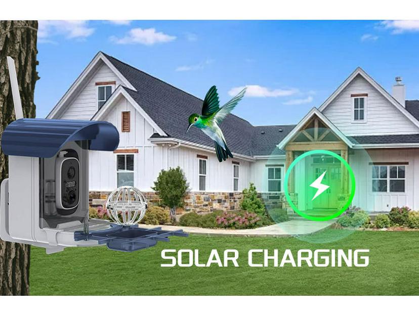 Solar-Powered Hummingbird Feeder with Camera & Remote Control