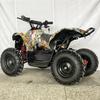 ATV Elettrico da Spiaggia, Motoneve e Veicolo Fuoristrada per Bambini 36V 800W