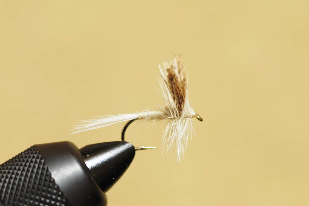 Complete Fly Set from the Fly SD Standard Dry Yamame Char Shop Selection, Fly, Trout, #16
