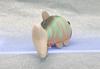 Take Off Pish Small and Colorful Fish Plush Toy - Press the Belly to Make a Beep Sound - Oikawa