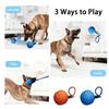 Cross-Border Electric Smart Dog Teasing Ball: Bite-Resistant E-TPU Pet Entertainment Bouncing Ball with Rope.