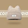 Korean Version New Cute Cat Ear Letter Patch Knitted Hat Women's Autumn and Winter Thickened Warm Versatile Simple Beanie Cap