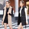 Autumn and winter down cotton vest women's Korean version of thin vest with vest and vest jacket