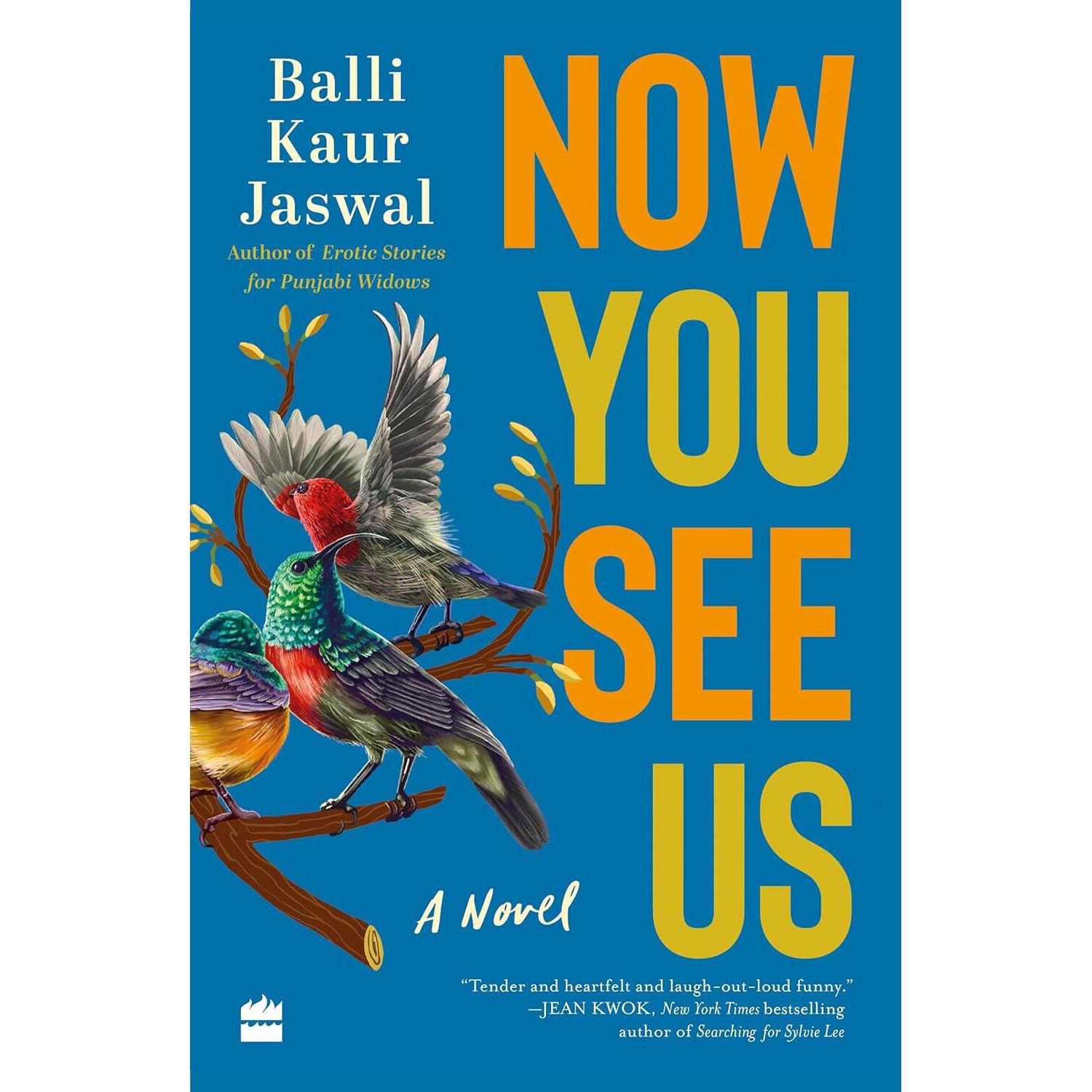 

Now You See Us The Novel Tender And Heartfelt Paparback