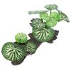 Realistic Reptile Plants Ornament for Terrarium Rainforest Plant Decor Artificial Plant for Reptile Habitat Fish Tank Decoration
