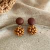 Maillard Coffee Color Amber Earrings Women's Autumn and Winter High-end Commuter Style Earrings Light Luxury Niche Design Earrings