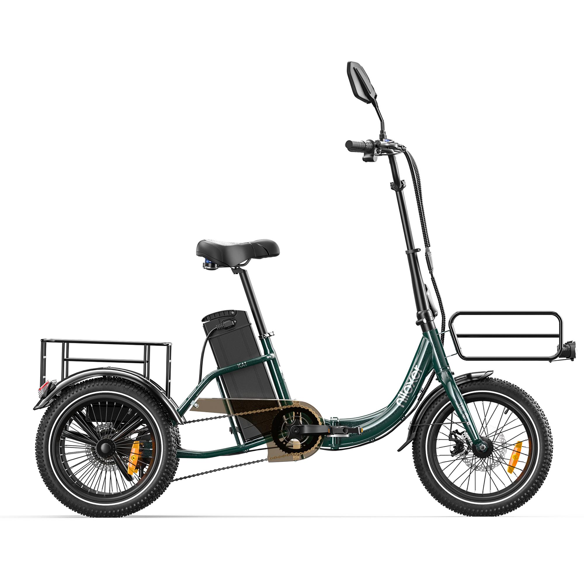 Niloxer KA1 All-Terrain Tire Electric Bicycle
