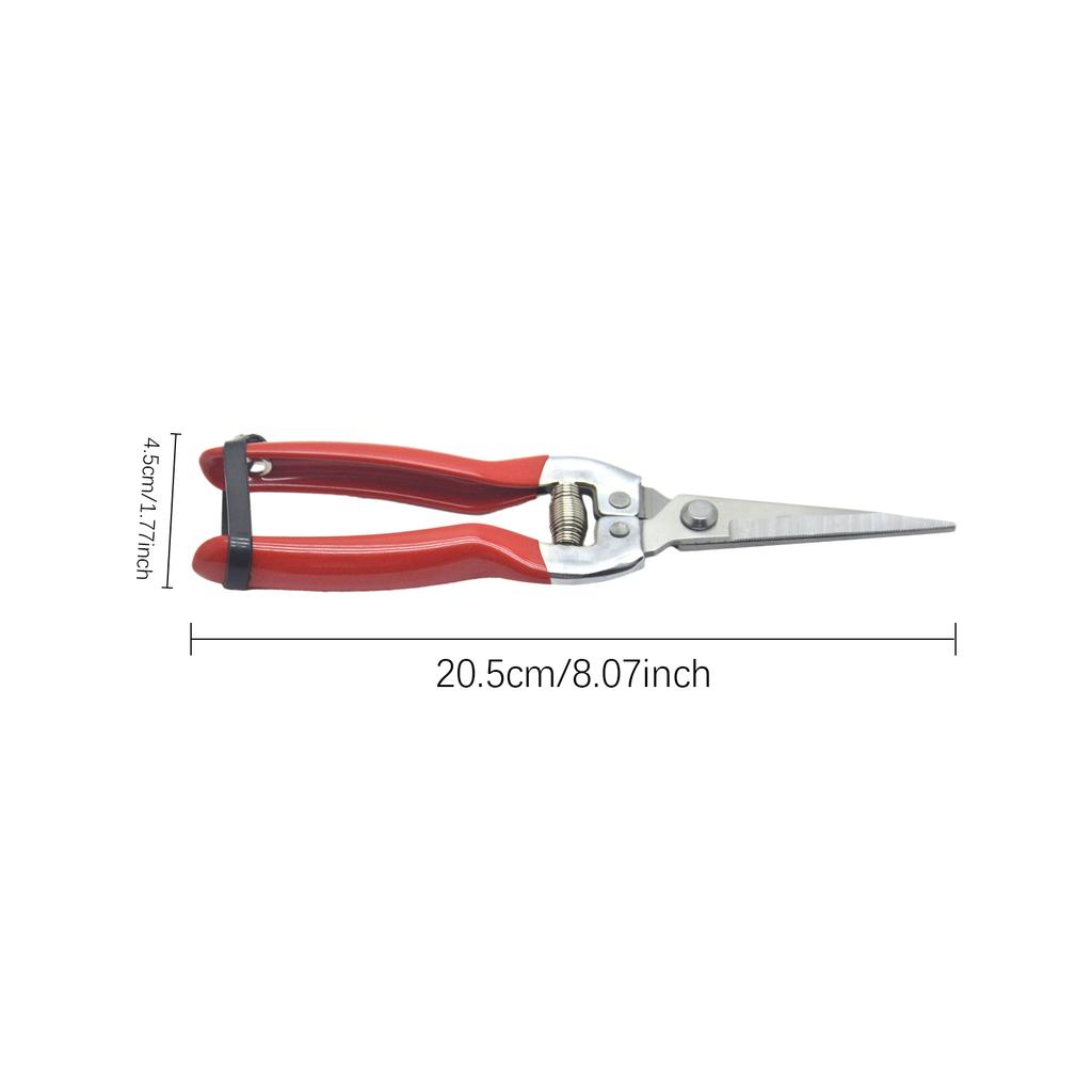 Grape Scissors Pruning Shears W/ Tweezers Garden Tool Vegetable Patch Bonsai Professional Joinery Stainless Steel Fruit Picking