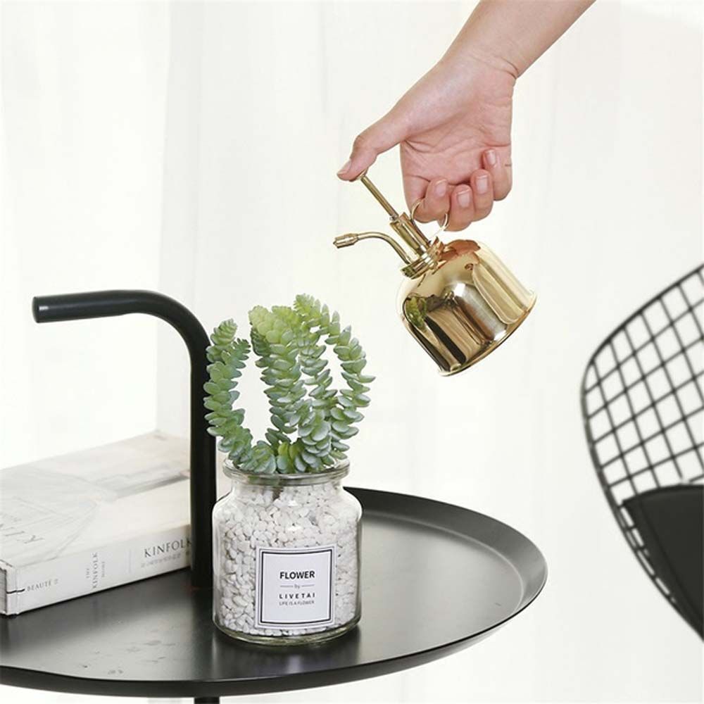 Plants Vintage Garden Cans Kettle 300ml Watering Bottle Watering Pot Sprayer Spray Bottle