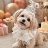 Rhinestone Pet Birthday Hat Scarf Set Cute Cat Princess Hat  Pet Birthday Party