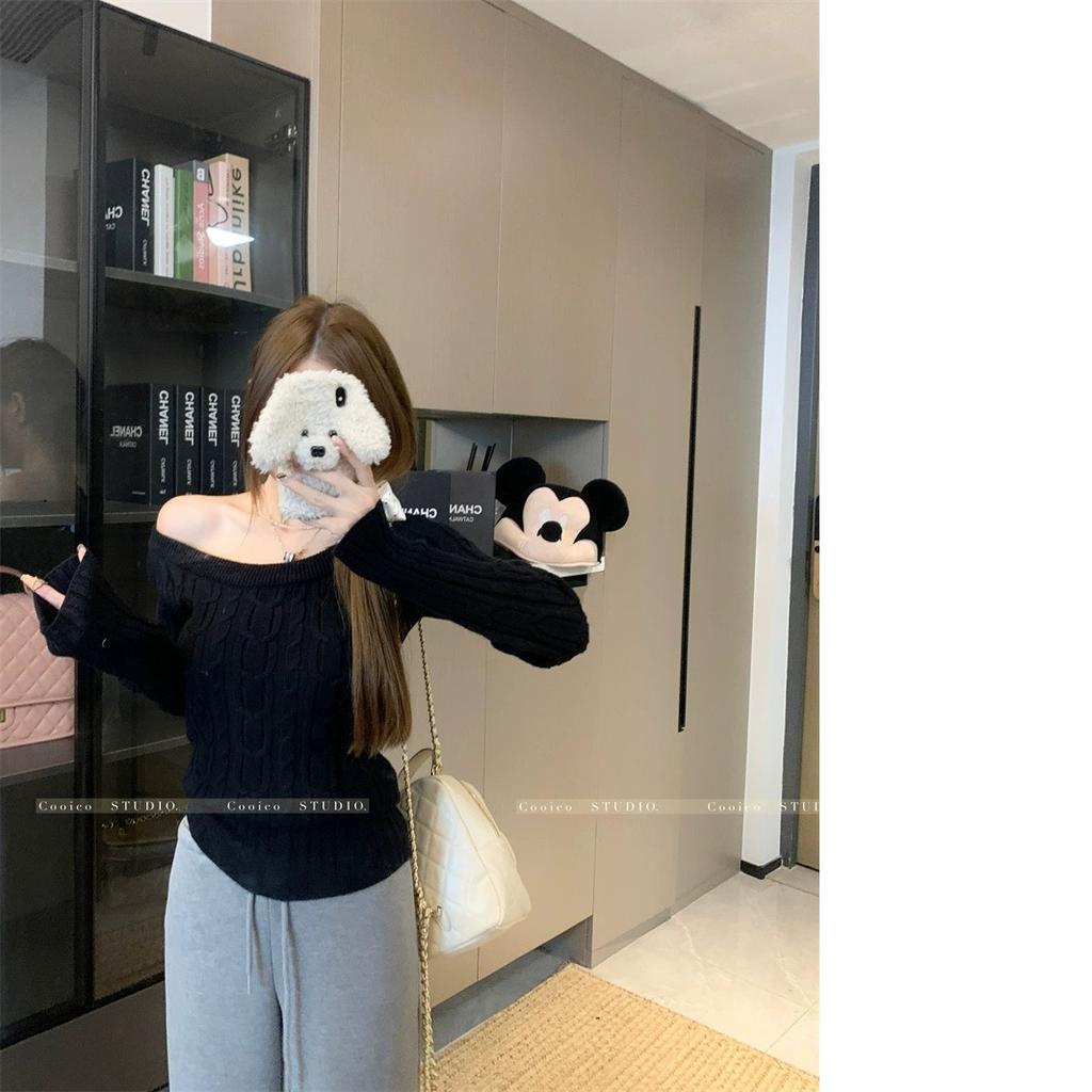 Casual Off shoulder Rib Knit Sweater Pull Women Long sleeve Top Basic Tees White Slim Pullovers Lady Sexy One Shoulder New
