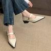 Shallow Mouth Pointed Single Shoes Women's New Temperament Commuting Thick Heel Mary Jane Small Leather Shoes