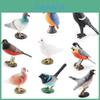 Realistic Pvc Bird Model Collection Includes Dove Magpie Cuckoo Sparrows For Decor