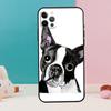 Boston Terrier Dog Phone Case For iPhone 17 Air 16 15 13 12 11 14 Pro Max 12 13 mini 15 16 Plus 16e Cover Coque
