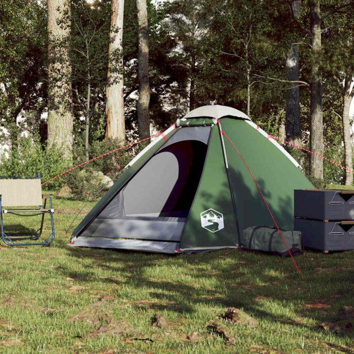 VidaXL Tente de camping à dôme 4 personne vert imperméable, tente, abri de camping, abri de jardin, tente de jardin, abri 94769