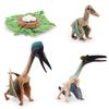 Realistic Jurassic Dinosaur Growth Cycle Model For Educational And Decorative Purposes