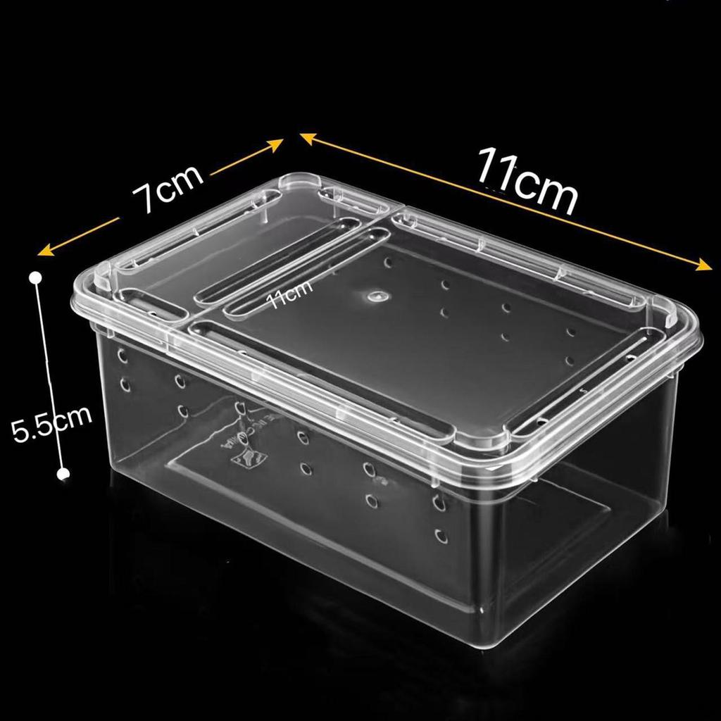 Feeding And Breeding Box for Reptiles with Lid Ventilation Holes, Mini, Transparent, Horned