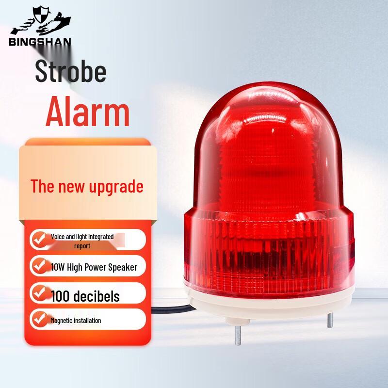 Bing Shan 12V Programmable Sound & Light Alarm