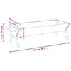 Rotisserie Grill Automatic Stainless Steel