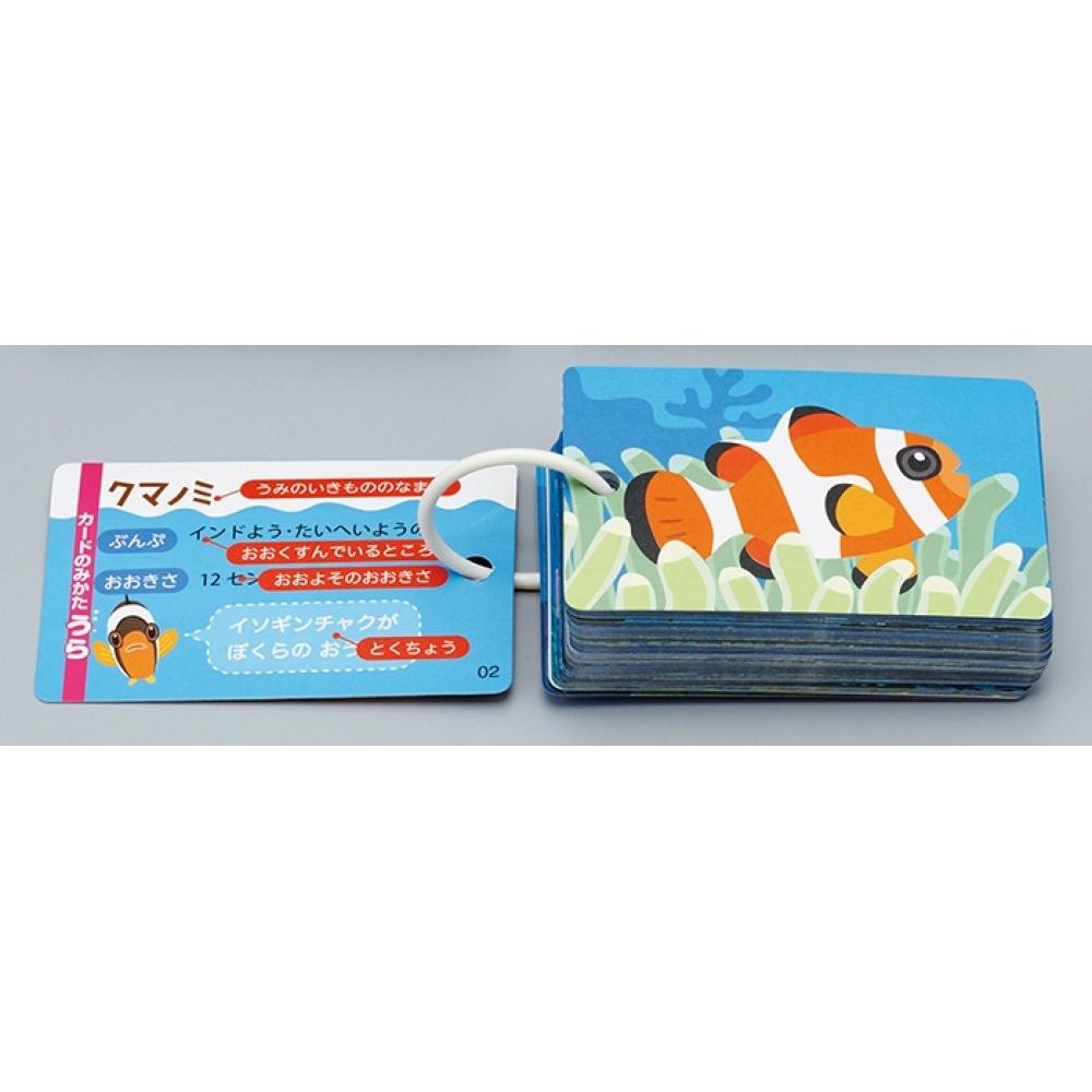 

Apollo Sha Null Pocket Picture Card Sea Creatures
