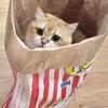 Pet Puzzle Kraft Paper Bag for Cat and Dog Teasing & Decompression Fun