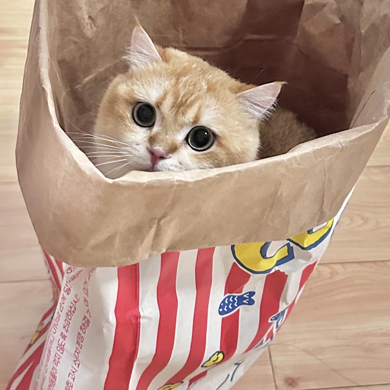 Pet Puzzle Kraft Paper Bag for Cat and Dog Teasing & Decompression Fun