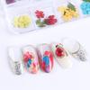 Mix Dried Flowers Nail Decorations Jewelry Natural Floral Leaf Stickers 3D Nail Art Designs Polish