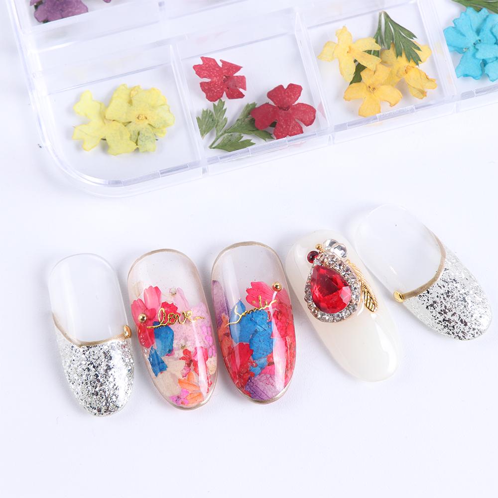 Mix Dried Flowers Nail Decorations Jewelry Natural Floral Leaf Stickers 3D Nail Art Designs Polish