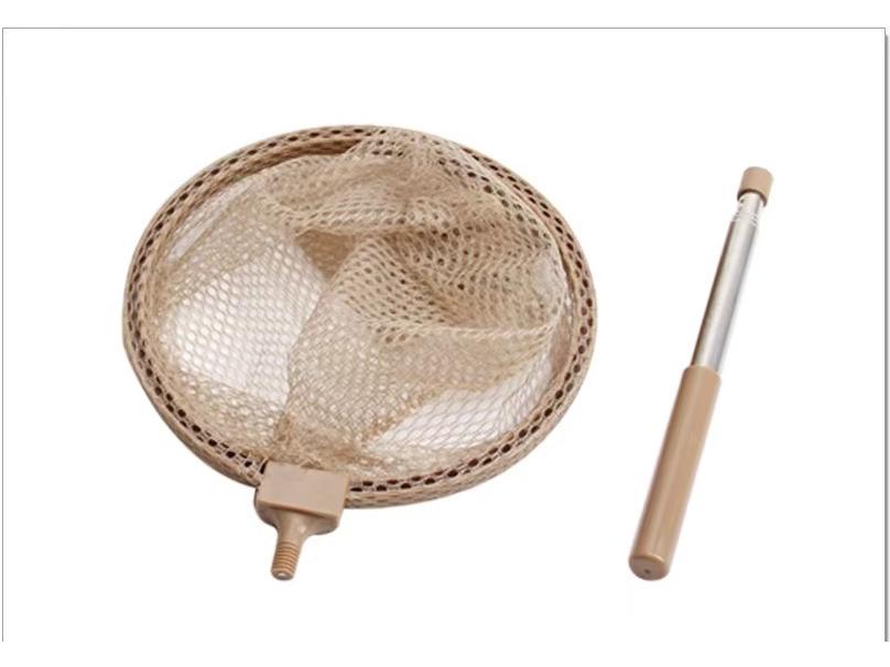 Portable Insect Observation Cage for Butterflies, Silkworms, and Bees