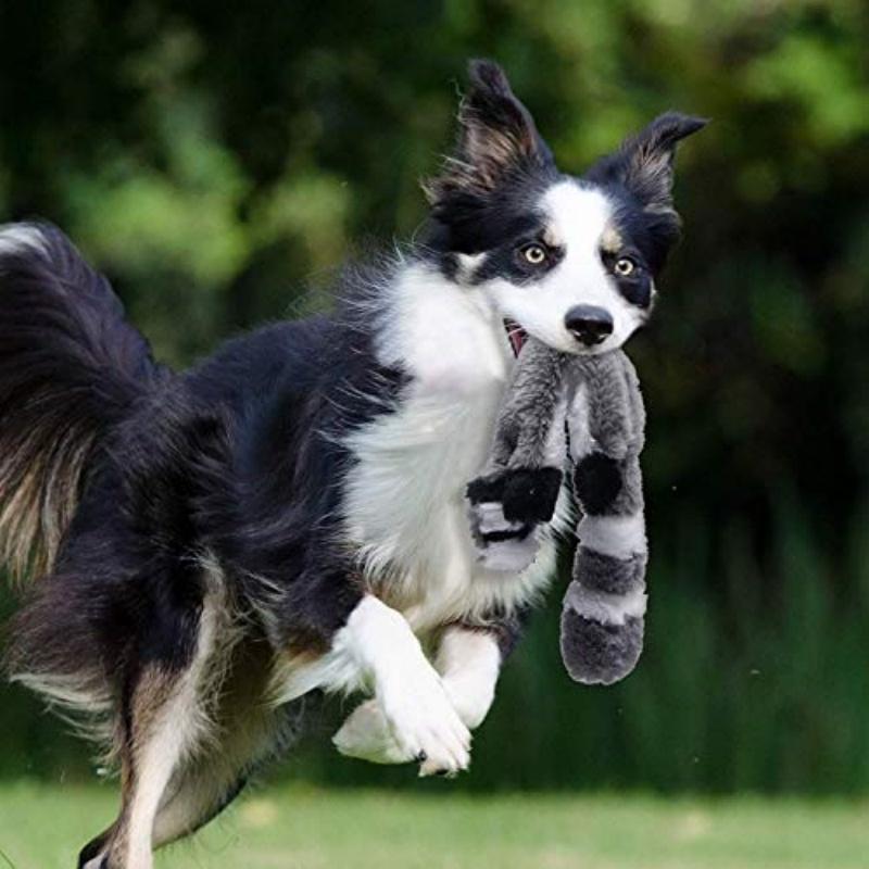 Pet dog toys, durable chew-resistant squeaky plush supplies for medium and large pets