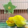 Plastic Parrot Foraging Feeding Toy Stress Relief Flower-Shape Rotating Wheel Birds Toy Cage Accessory Interactive Play