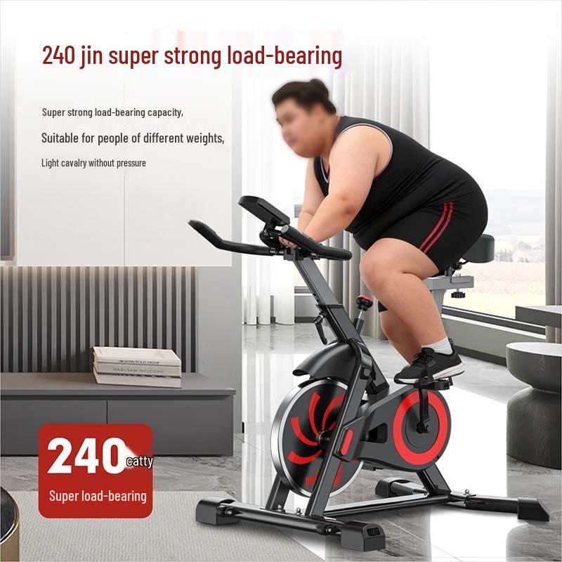 TLXT Indoor Spinning Exercise Bike CN plug (adapter included)