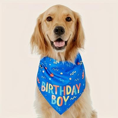 Giyim ve ayakkabı – Köpek Aksesuarları