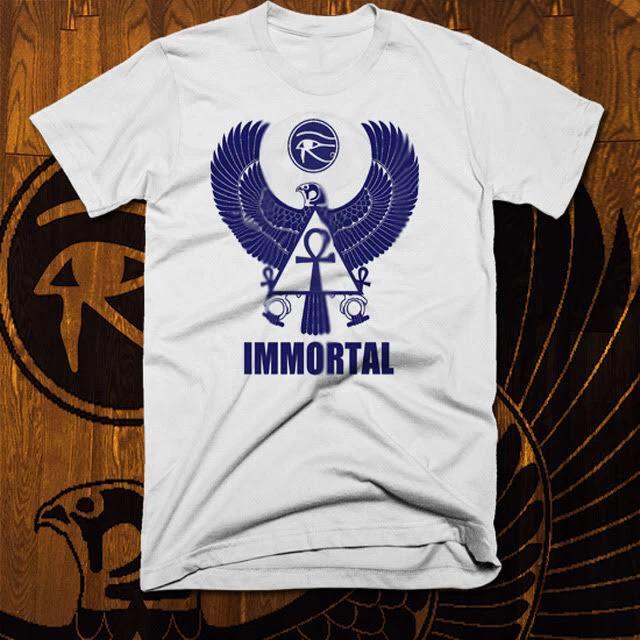 

Egyptian T-Shirt Ancient Egypt Hieroglyphics Kemetic Falcon God Immortal L