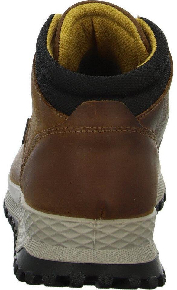 Ботинки Igi&co U EOLO GTX braun