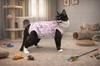 Postoperative Clothing for Cat Size Dog Apron Comfortable Cotton Rabbits