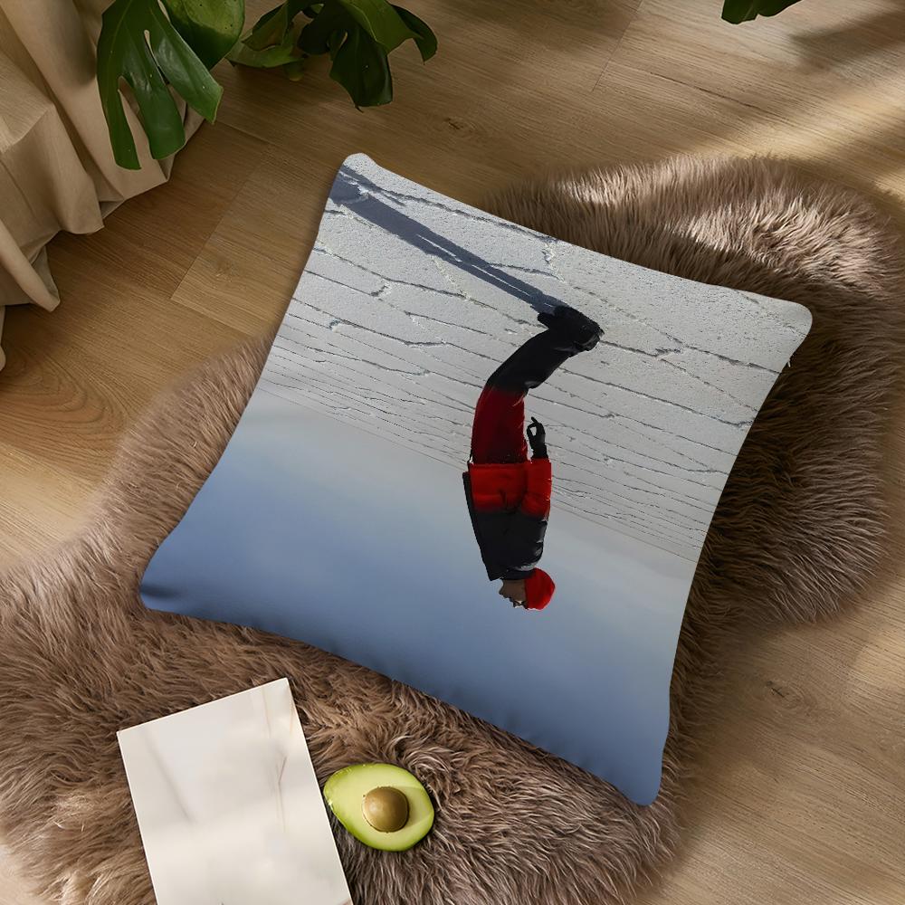 Singer DDuki Cushion Cover Living Room Accent Couch Back Support Square Lounge Restful Nap Companion Pillow Case