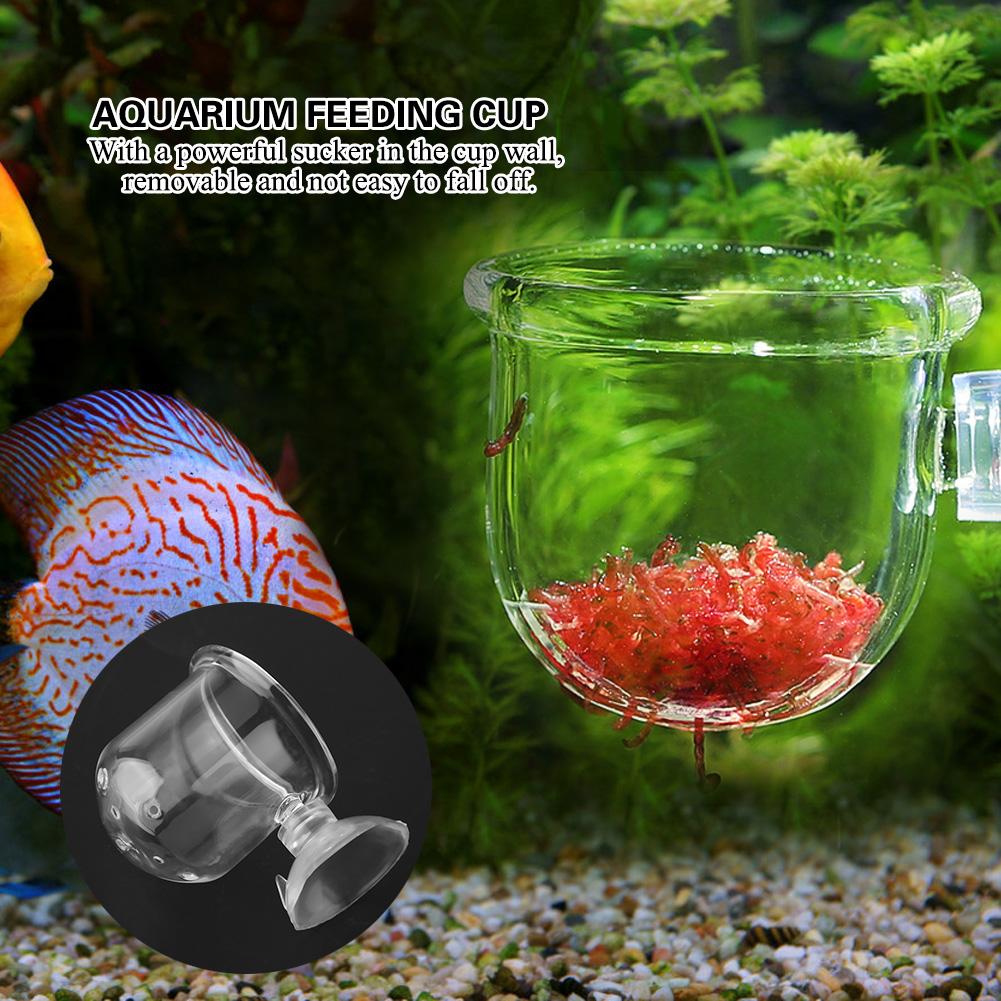 Small   Glass Plant Feeding Cup Fish Red Worm Feeder Cups for Aquarium(S)