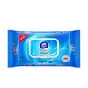 Vinda Antibacterial Wet Wipes